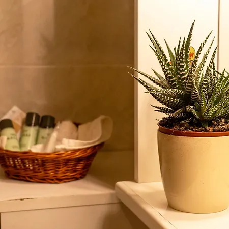 Farm stay Turin Alberese